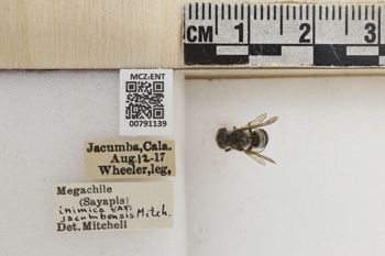 Media type: image;   Entomology 791139 Aspect: Labels